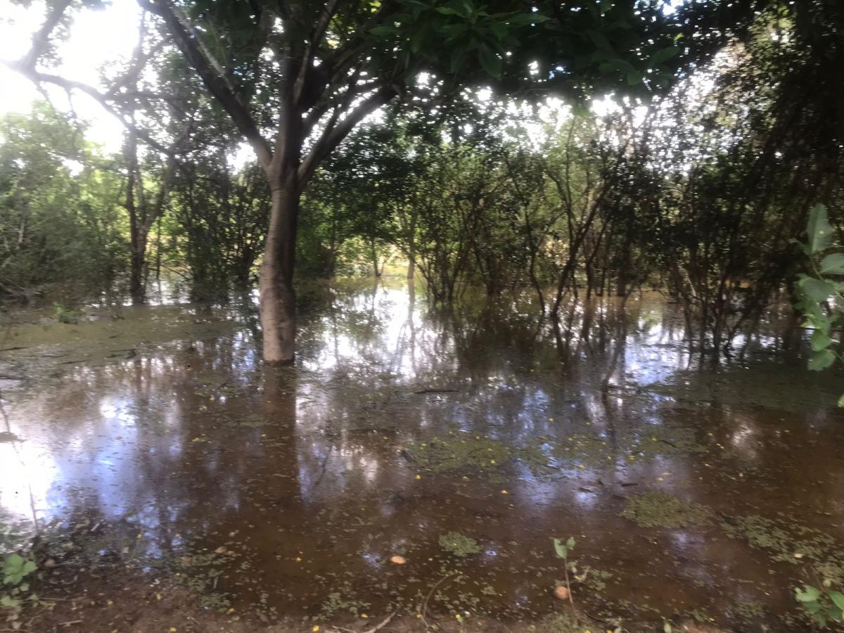 Estrada que dava acesso a Comunidade Tradicional Quilombola Pesqueira e Vazanteira de Croatá