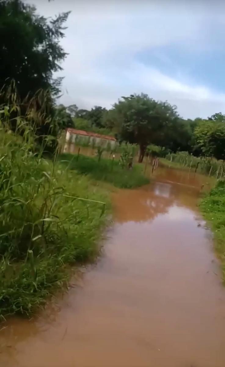 Estrada da Comunidade Tradicional Pesqueira e Vazanteira Ilha da Porteira (São Francisco/MG) tomada pela água