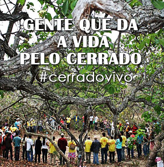 Cerrado Vivo